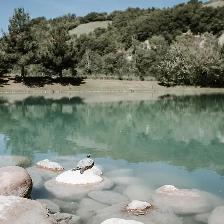 Bed & Breakfast L'anfora Country Club Basciano