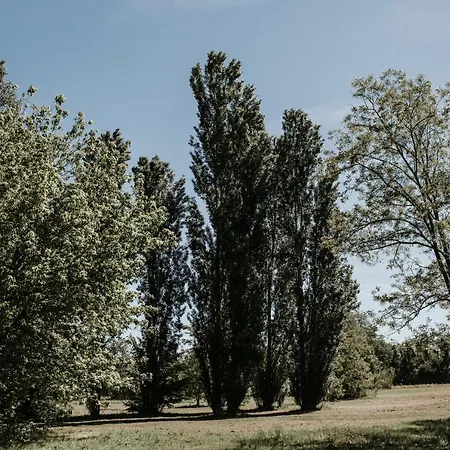 L'anfora Country Club Basciano