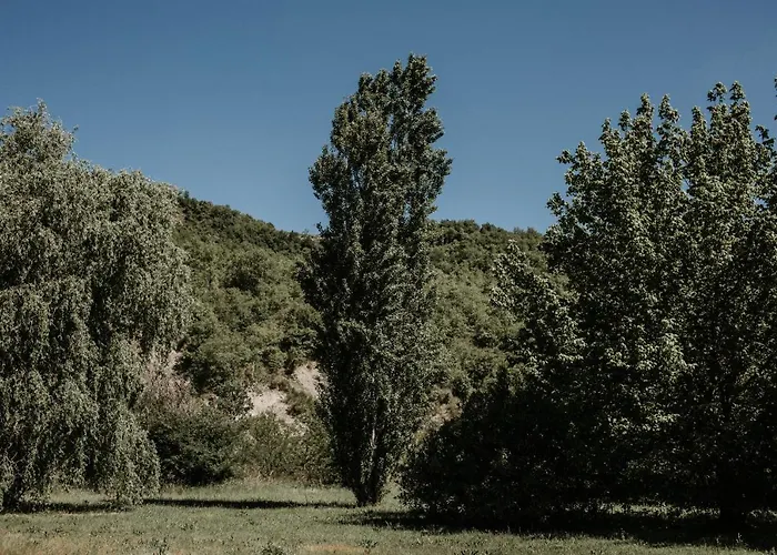 Bed and Breakfast L'anfora Country Club