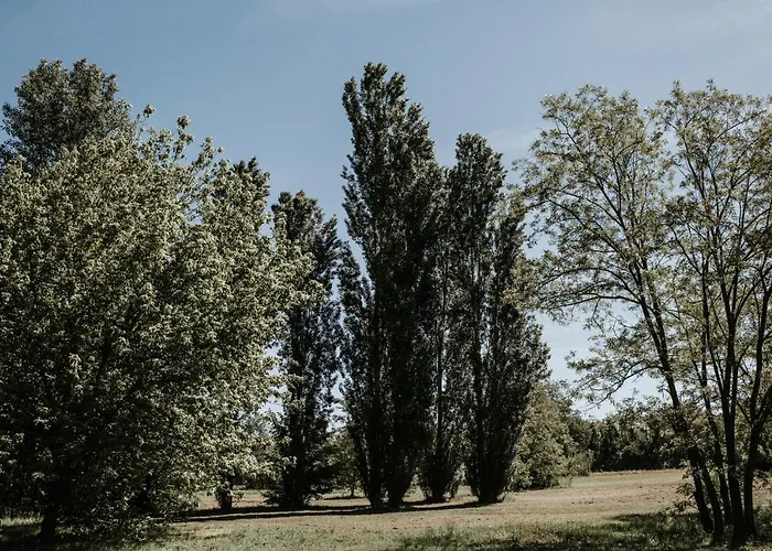 L'anfora Country Club Basciano